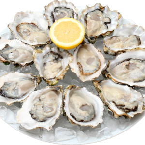 Mussel PNG