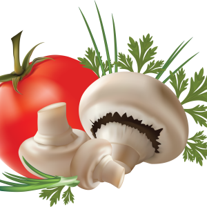 Mushroom PNG image