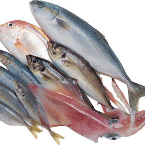 Fish PNG