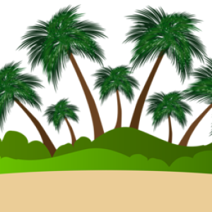 Beach PNG