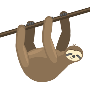 Sloth PNG
