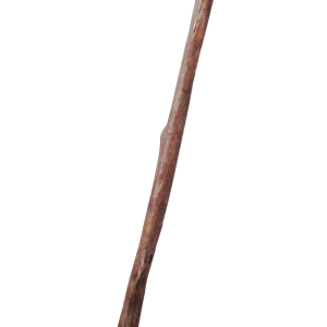 Walking stick PNG