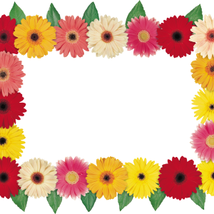 Floral frame PNG
