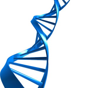 DNA PNG