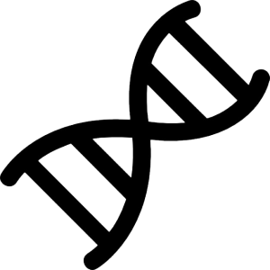 DNA PNG