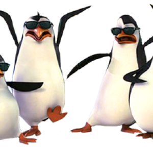 Madagascar penguins PNG