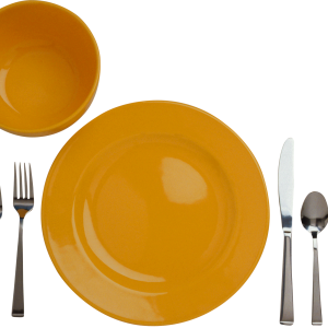 Dish, plate PNG