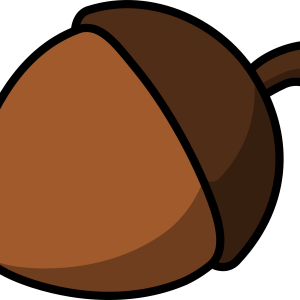 Acorn PNG image