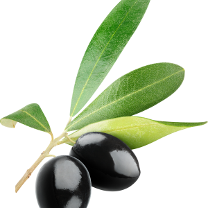 Black olives PNG