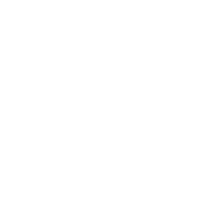 Red Dead Redemption 2 logo PNG