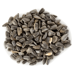 Sunflower seeds PNG