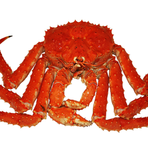 Crab PNG