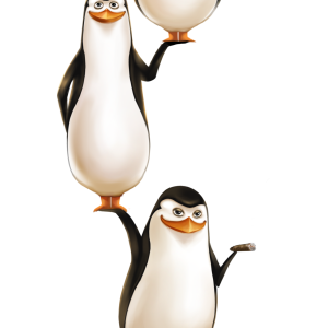 Madagascar penguins PNG