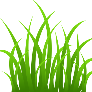 grass png image, green grass PNG picture