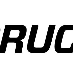 Bruce Lee logo PNG