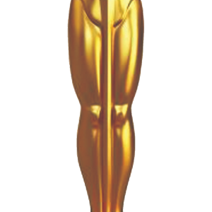 Academy Awards PNG, the Oscars PNG