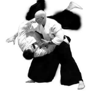 Aikido PNG