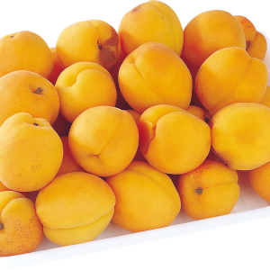 Many yellow Apricots PNG
