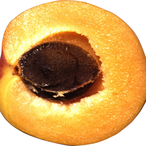 cut half Apricot PNG