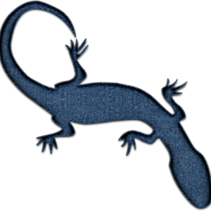 Gecko PNG