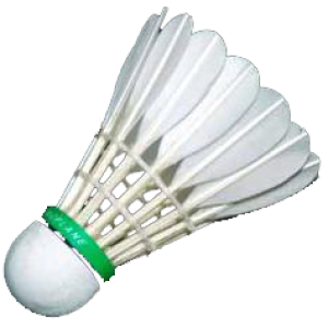 Badminton volant PNG image