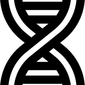 DNA PNG