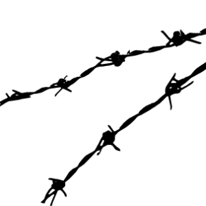 Barbwire PNG