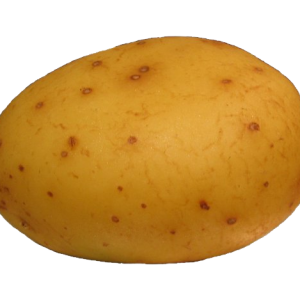 Potato PNG image