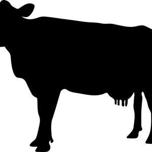 cow PNG