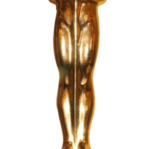 Academy Awards PNG, the Oscars PNG