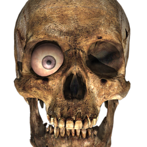 Skull PNG