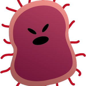 Bacteria PNG