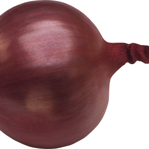 Onion PNG image