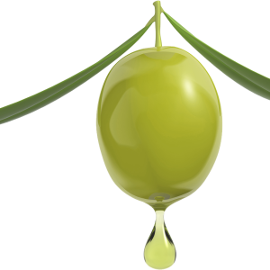 Olives PNG