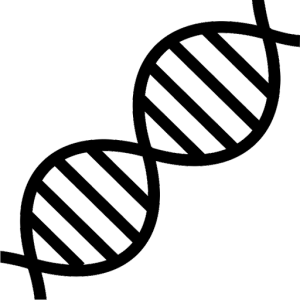 DNA PNG