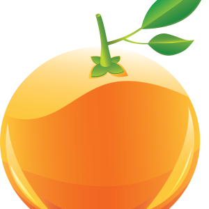 picture render orange PNG image