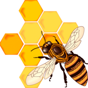 Bee PNG