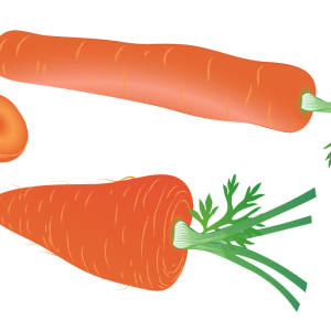 Carrot PNG