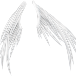 Wings PNG