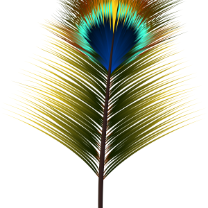 Feather PNG color