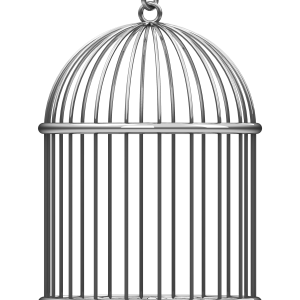 Cage bird PNG