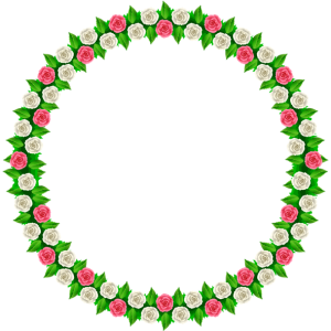 Floral frame PNG