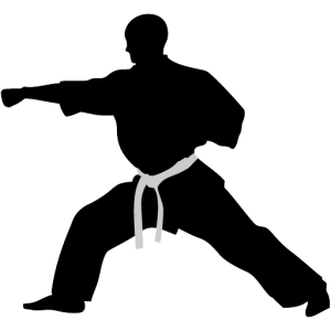 Karate PNG