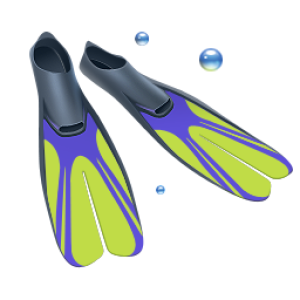 Flippers PNG