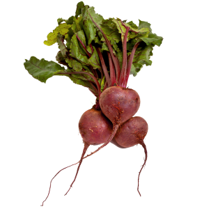 Beet PNG