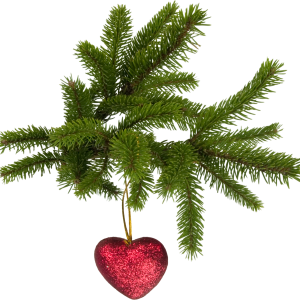 Christmas PNG image