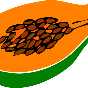 Papaya PNG