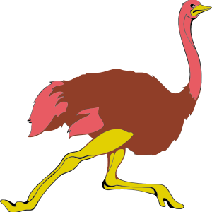 Ostrich PNG