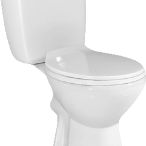 Toilet PNG