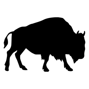 Bison PNG